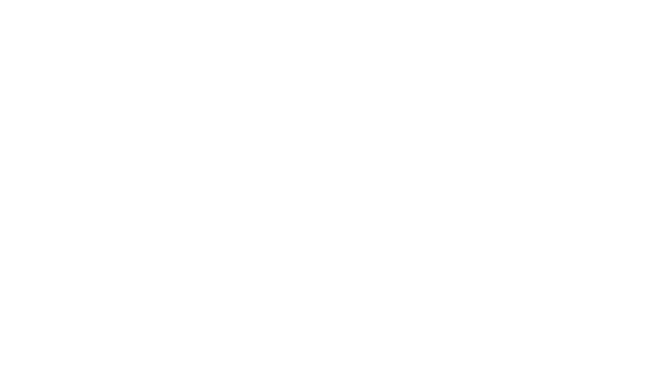 Athlete Ally