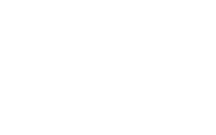 Discover The Palm Beaches