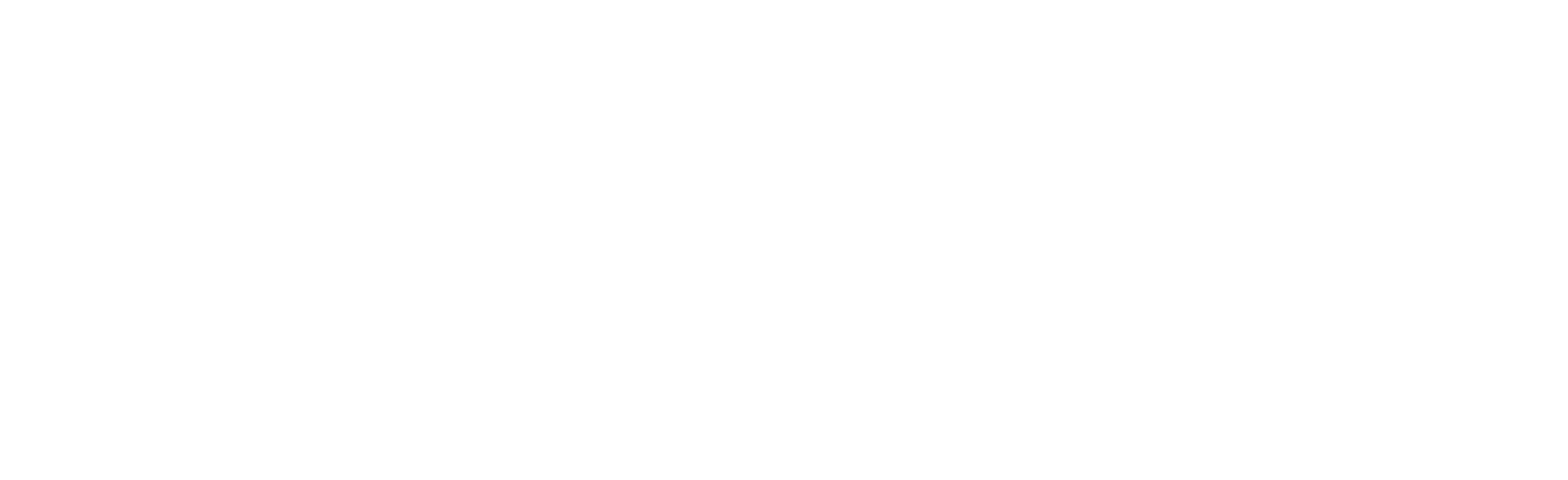 Toys for Tots TransPerfect